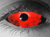 Bloodlust�i�g�}�g�W���[�X�j