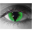 �O���[���L���b�g Green Cat
