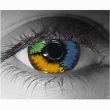 �p�b�`���[�N Patchwork Custom