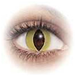 Cat Eye �i�L���b�g�A�C�j