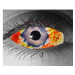 Biohazard Custom�i�o�C�I�n�U�[�h�j