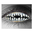 Skeletal Teeth Custom