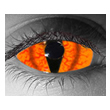 Species Custom�i�X�s�[�V�[�Y�j