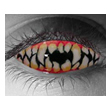 Jagged Teeth Custom�i�W���O�h�e�B�[�X�@�X�������сj
