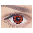 FlowerPower�i�t�����[�p���[�j