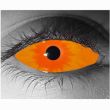 Pumpkin Head�i�p���v�L���w�b�h�j
