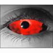 Bloodlust�i�g�}�g�W���[�X�j